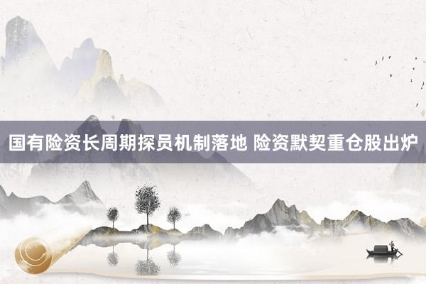 国有险资长周期探员机制落地 险资默契重仓股出炉