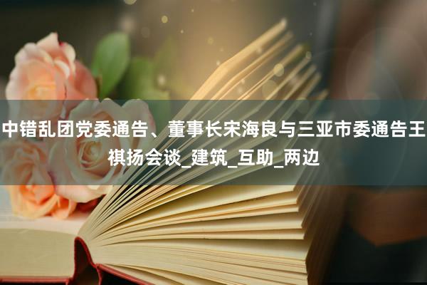 中错乱团党委通告、董事长宋海良与三亚市委通告王祺扬会谈_建筑_互助_两边