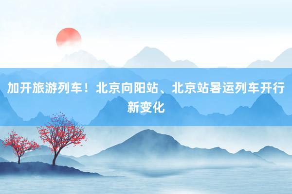 加开旅游列车！北京向阳站、北京站暑运列车开行新变化