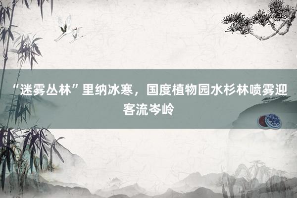 “迷雾丛林”里纳冰寒，国度植物园水杉林喷雾迎客流岑岭