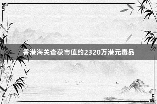 香港海关查获市值约2320万港元毒品