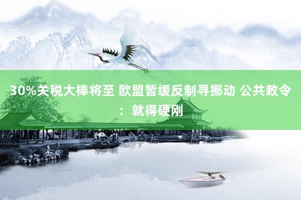 30%关税大棒将至 欧盟暂缓反制寻挪动 公共敕令：就得硬刚