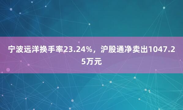 宁波远洋换手率23.24%，沪股通净卖出1047.25万元