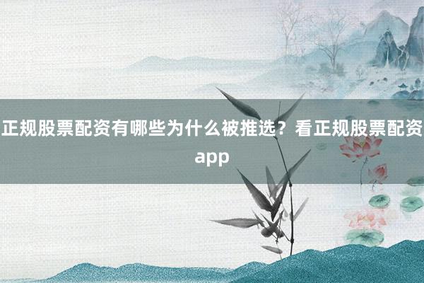 正规股票配资有哪些为什么被推选？看正规股票配资app