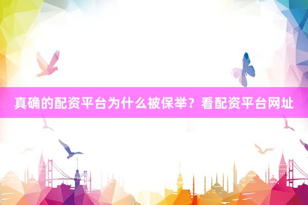 真确的配资平台为什么被保举？看配资平台网址