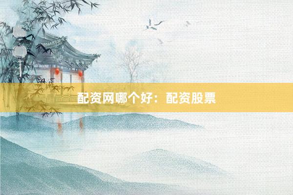 配资网哪个好：配资股票