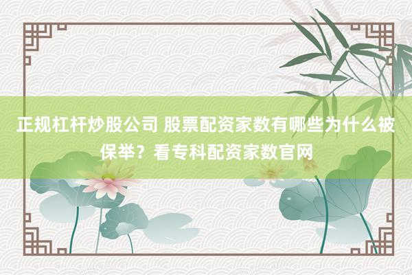 正规杠杆炒股公司 股票配资家数有哪些为什么被保举？看专科配资家数官网