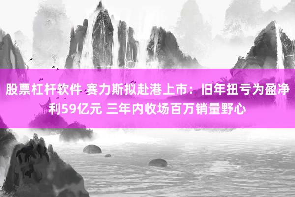 股票杠杆软件 赛力斯拟赴港上市：旧年扭亏为盈净利59亿元 三年内收场百万销量野心