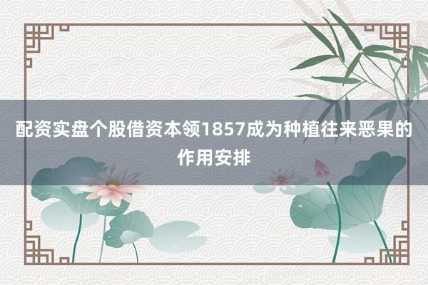 配资实盘个股借资本领1857成为种植往来恶果的作用安排