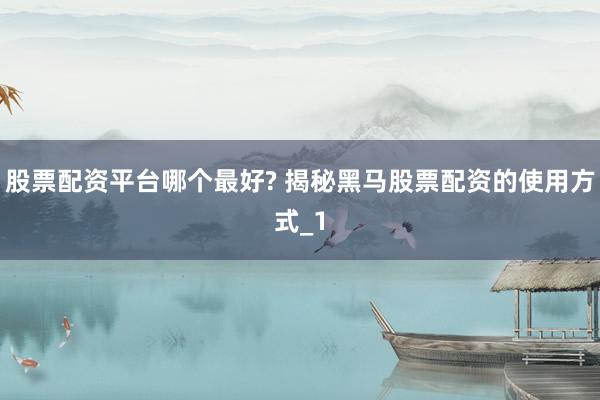 股票配资平台哪个最好? 揭秘黑马股票配资的使用方式_1