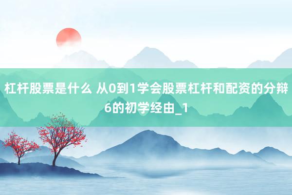 杠杆股票是什么 从0到1学会股票杠杆和配资的分辩6的初学经由_1