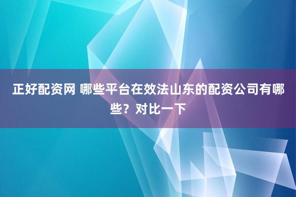 正好配资网 哪些平台在效法山东的配资公司有哪些?对比一下
